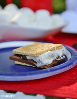 S'mores Bar Summer Celebration