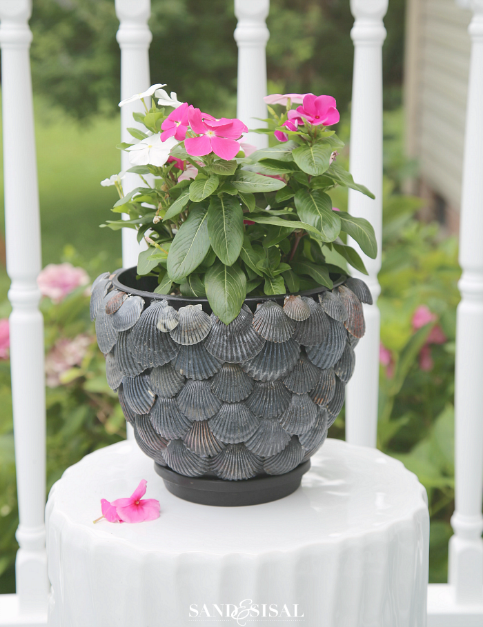 Seashell Decor Ideas: Decorating Baskets and Making Seashell Flowers
