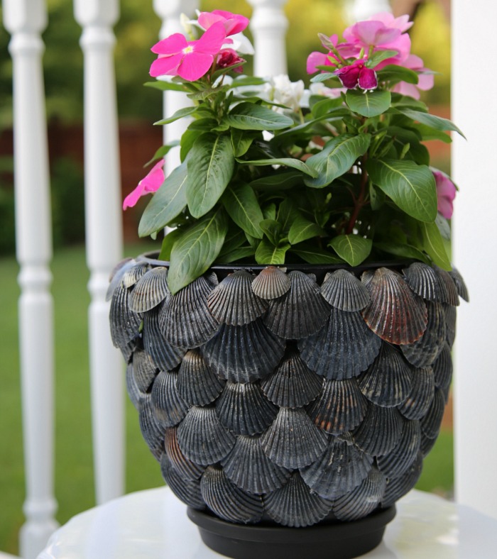 Seashell Pots & Planters  Shell & Planter Craft Ideas