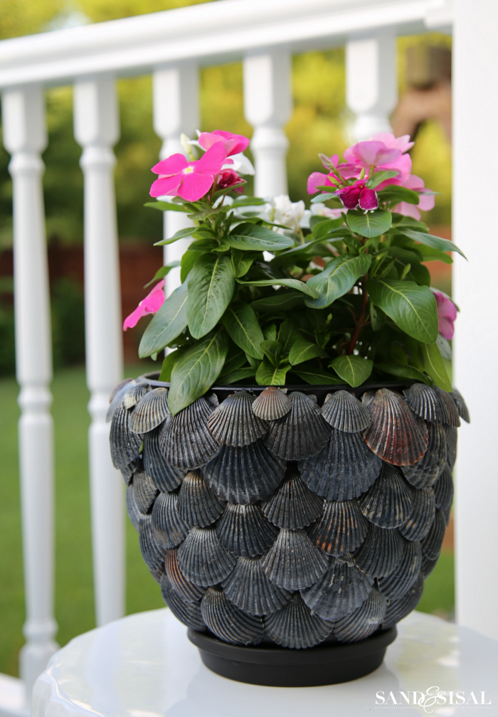 How to Make a Seashell Planter: 12 Steps (with Pictures) - wikiHow Life