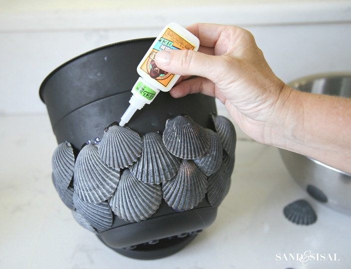 DIY Shell Planter - Sand and Sisal