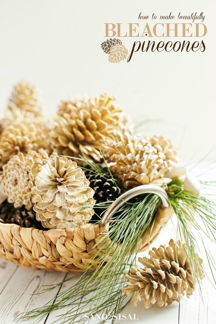 48 Amazing DIY Pine Cone Crafts & Decorations