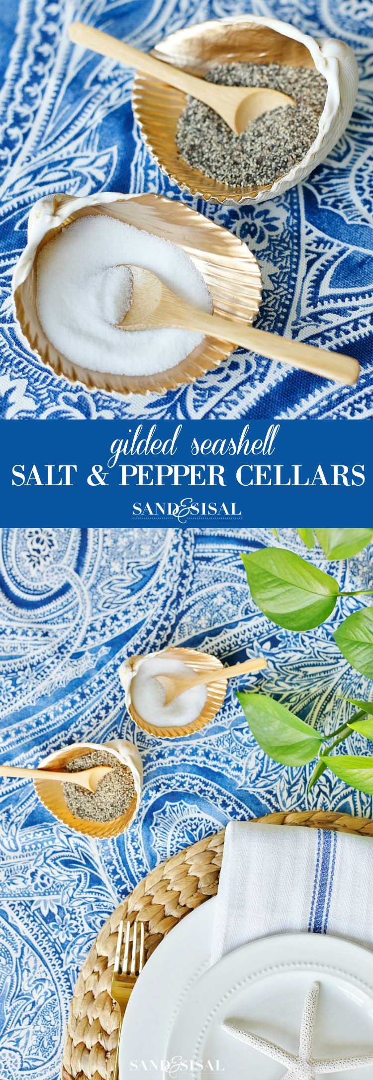 seashell salt and pepper shakers