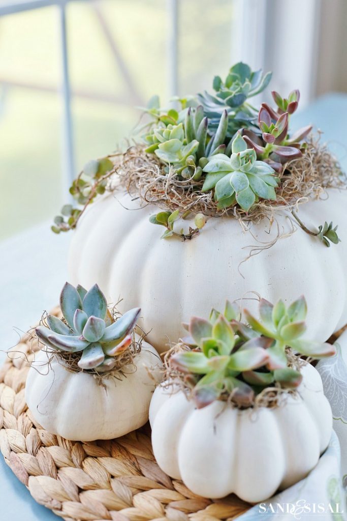 DIY Succulent Pumpkin Centerpiece - Sand And Sisal